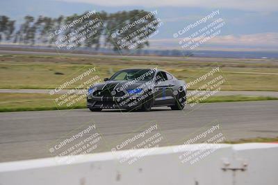 media/Mar-30-2025-Speed Ventures (Sun) [[39e6b1441d]]/Purple/Front Straight/